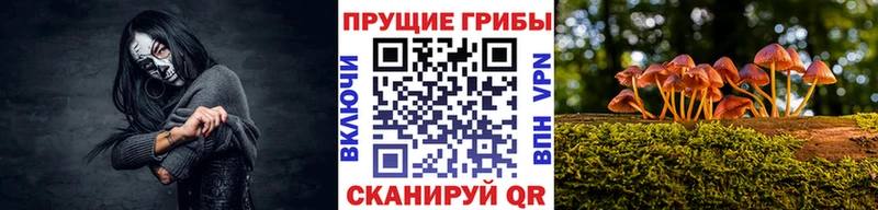 Галлюциногенные грибы GOLDEN TEACHER  даркнет сайт  блэк спрут как войти  Черноголовка 